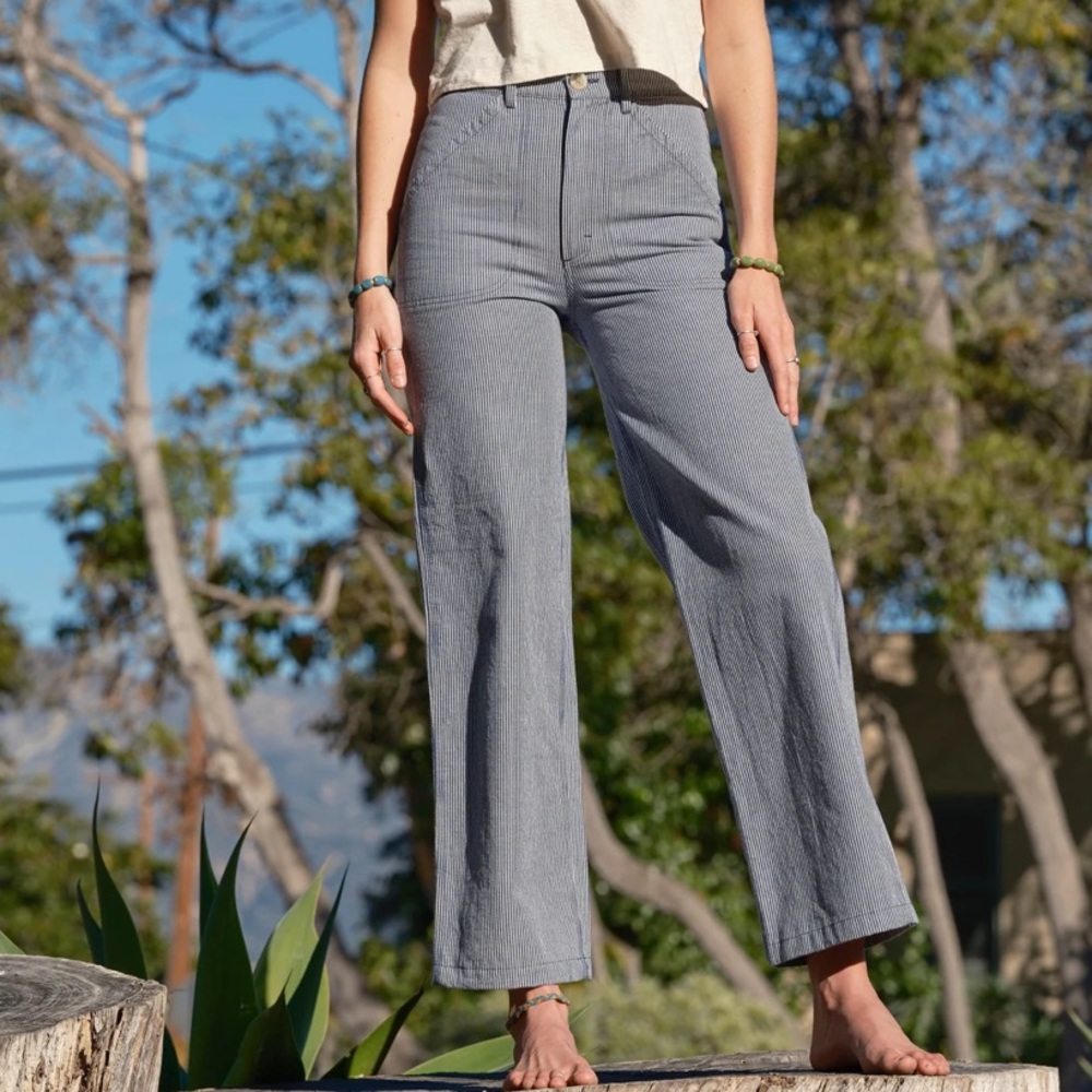 Mollusk Painter Pants in railroad strips